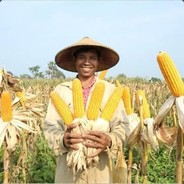 TheCornFarmer