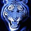 [LOL] Blue Tiger