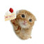 rinny