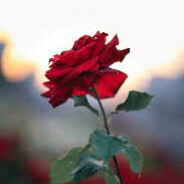 Stefan/ - steam id 76561199057330798