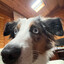 Luper