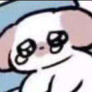 你们不要再打了啦！！