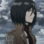 Mikasa