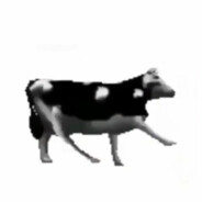 Докторская колба