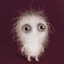 Jimmy