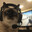 Mokie