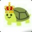 LittleTurtle