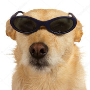 El-Doog - steam id 76561199075409325