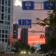 人性的背后是白云苍狗