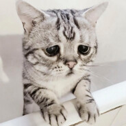 đăng sad cat