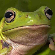 Frogge