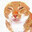 cat rat