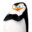Skipper