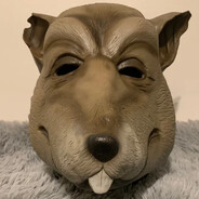 M A S T E R S P L I N T E R