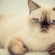 灬灬灬冰糖芒果