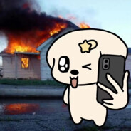 十七张牌你能秒我？