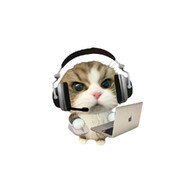 桃桃烏龍^⎚˕⎚^