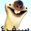 منحنى القندس