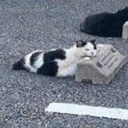 ПриПаркотик