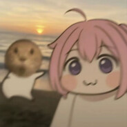 外科专家皮医生