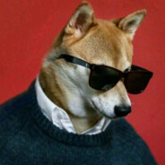 Guois avatar