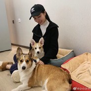 【SVIP】狙神真的嗷