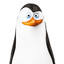 Kowalski's avatar
