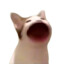 POP CAT