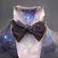 Bowtieguy