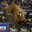 Bushwacker