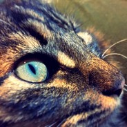 我左手拽你右奶