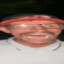 tião gavião