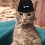 Владик Падик