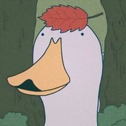 万里云罗一雁飞