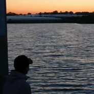 让晚风带去我的思念