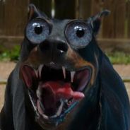 SockDog - steam id 76561197968624797