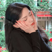 臣妾要告发熹贵妃端锅