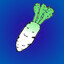 Daikon