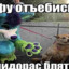 ДимаРоллтон