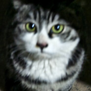 电脑玩家 瑞克利