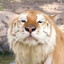 milktiger