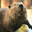 Baber007 Steam avatar