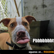 ██NooBita██.H-Y.