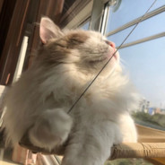 Big Avatar