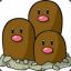 dugtrio