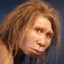 Homo Erectus