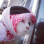 BarnHandlare (ramadan challenge)