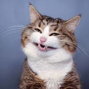 Herme - steam id 76561198282911086