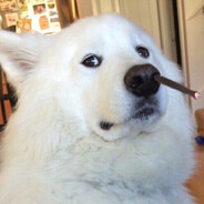 !TESLA CS⇆TF2 B> QS/BP+CS