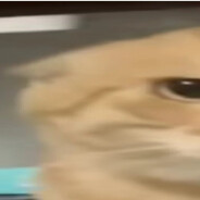 提瓦特第一深情